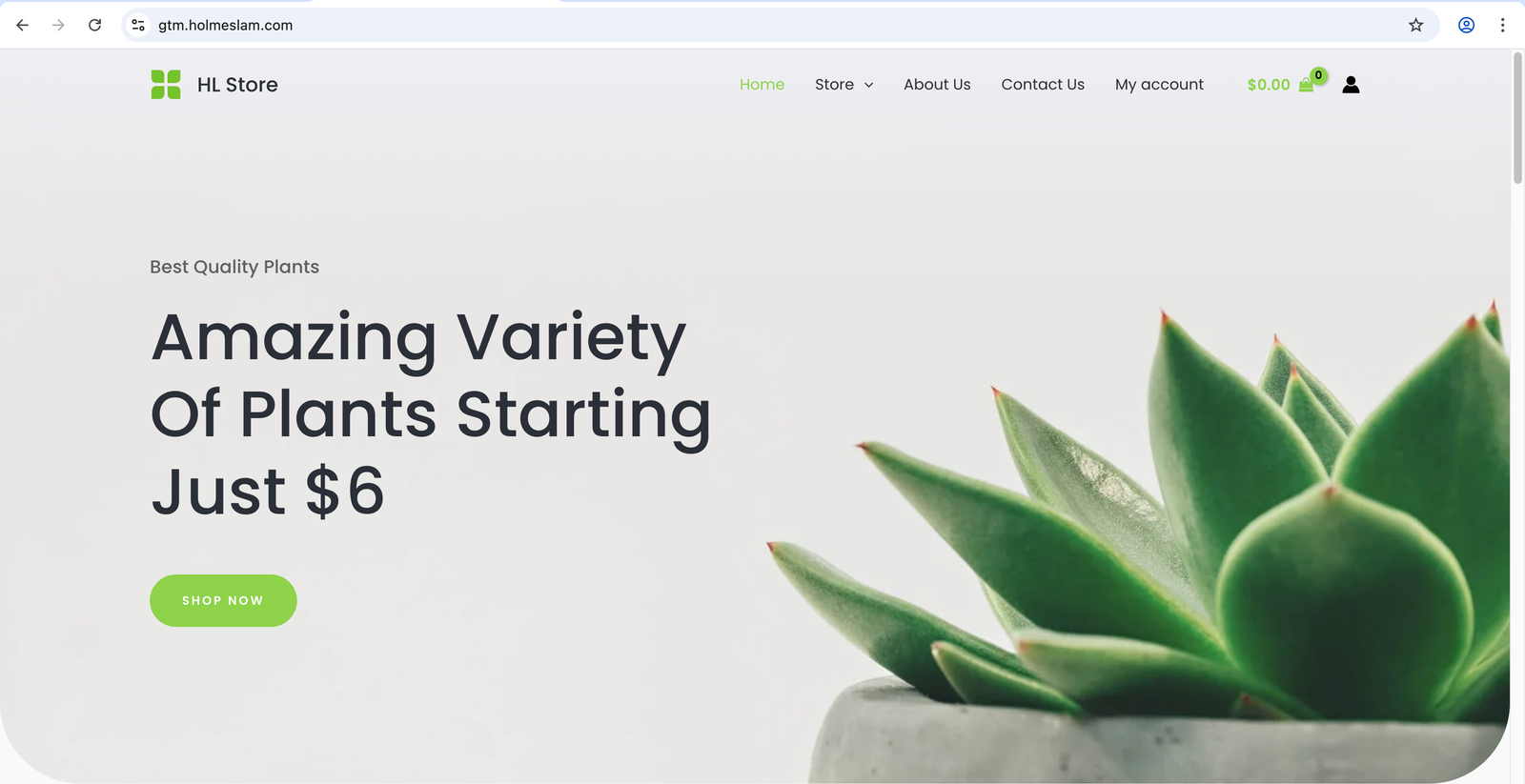 GTM GA4 Looker Studio Demo