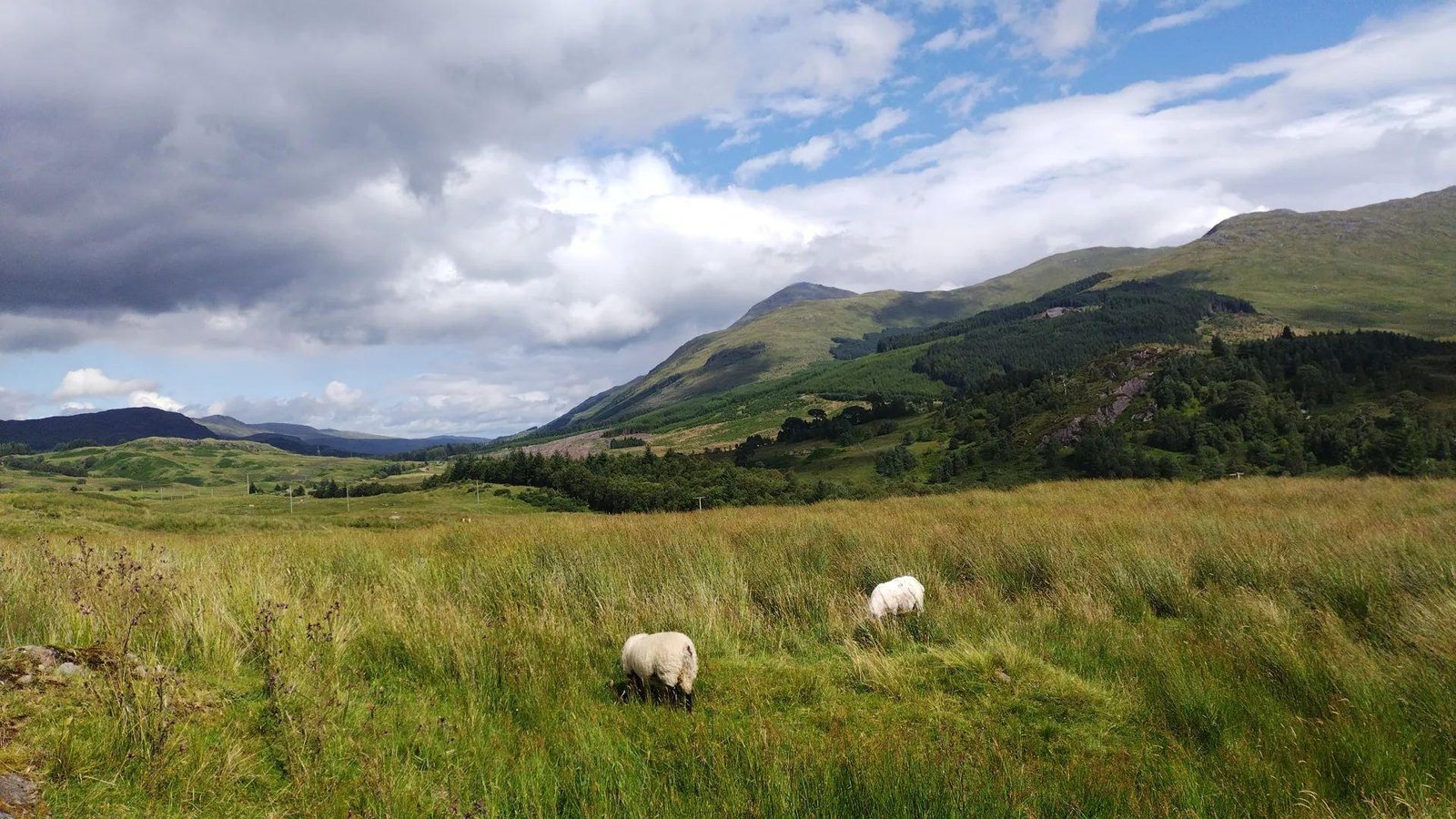 Walking the West Highland Way